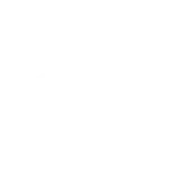 Tik Tok