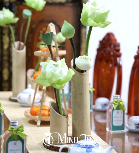 Minh Quân & Cẩm Nhung