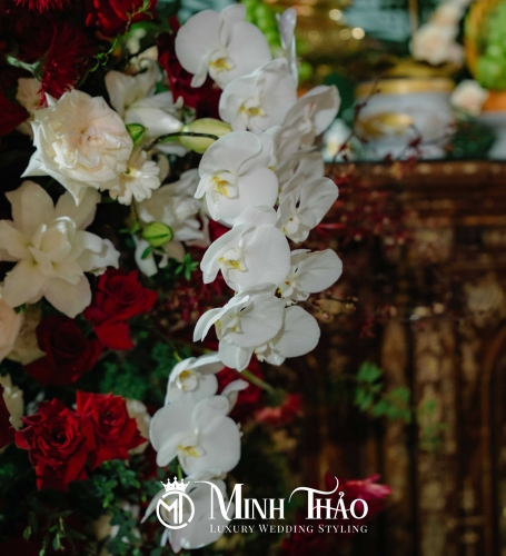Trọng Bình & Ngọc Ly