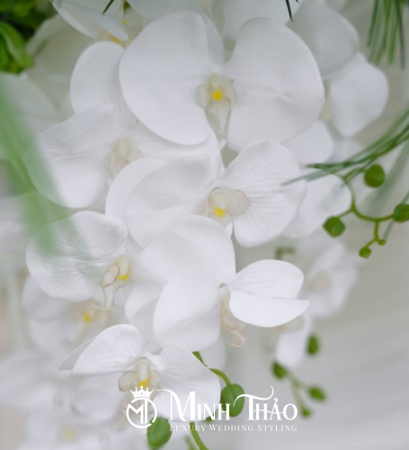 Như Ý & Phước Thương