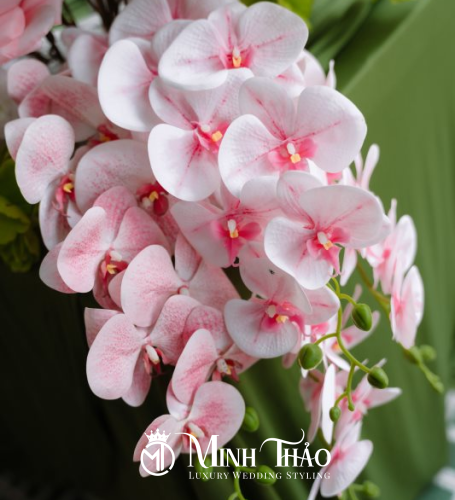 Như Ý & Phước Thương