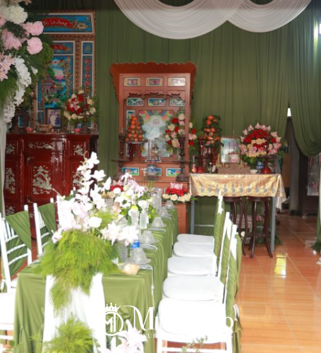 Tường Vi & Hoàng Long