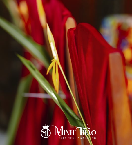 Hằng Nga & Tấn Quốc