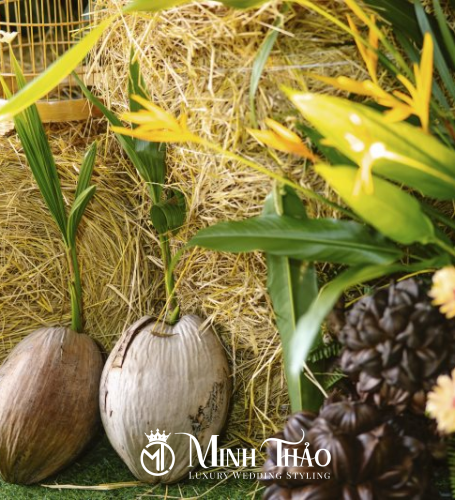 Hằng Nga & Tấn Quốc